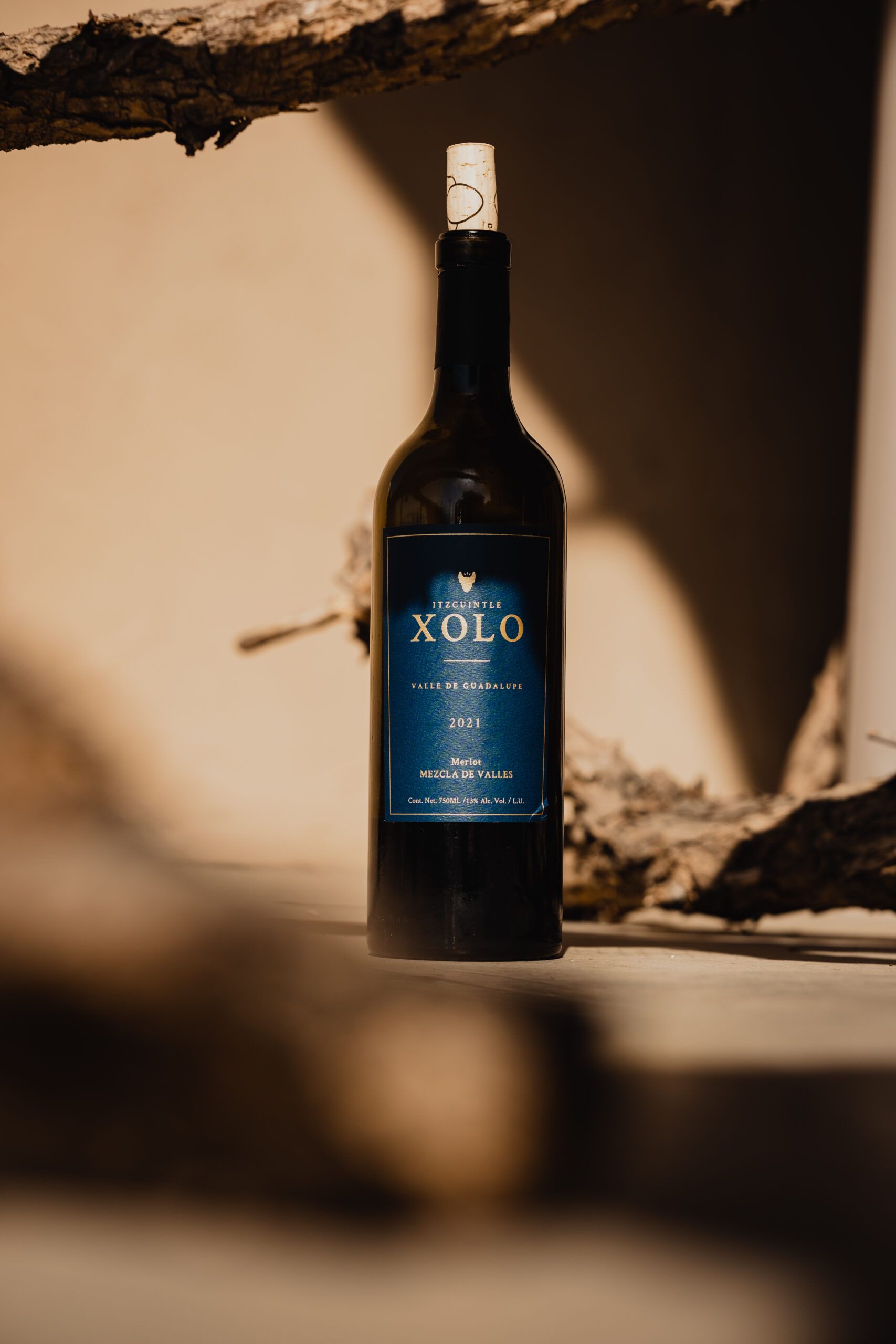XOLO-79 XOLO-79